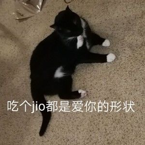 Meet your Posher, Zixuan